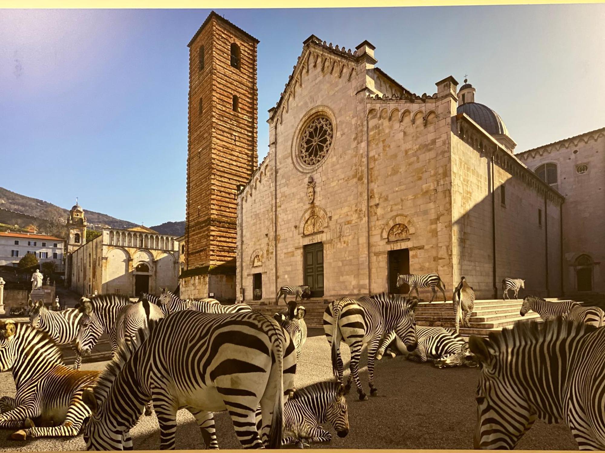 Pietrasanta Ai Teatri Bed & Breakfast Eksteriør bilde